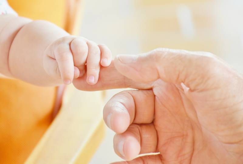 Garde de 2 enfants de 3 ans et de 8 mois à Toulouse Minimes pour 7h30/semaine