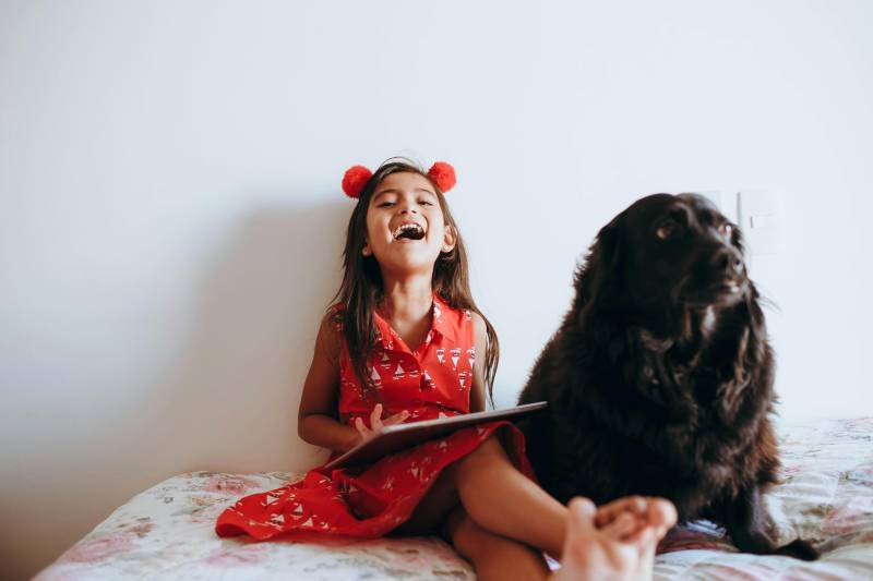 TOULOUSE- Babysitter recherché·e pour garde de trois enfants, horaires réguliers en semaine, CDI et formation continue