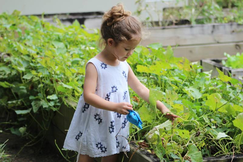 TOULOUSE- Mission garde enfants : personne fiable pour accompagner deux enfants en soirée, secteur Marengo, métro à proximité